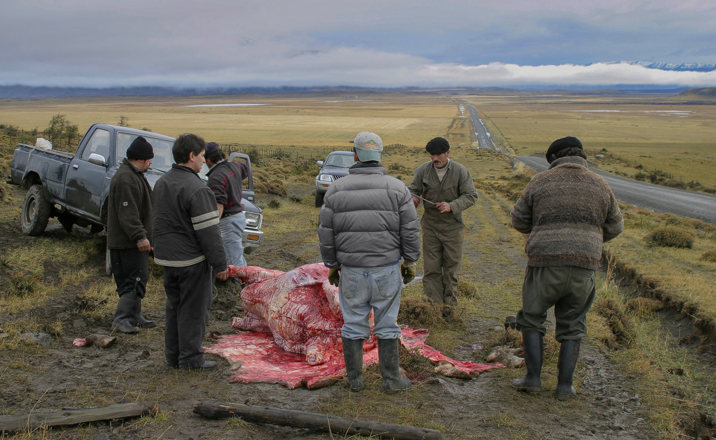 Особо впечатлительным просьба не смотреть...