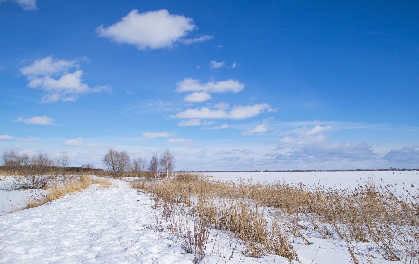 Мартовский пейзаж