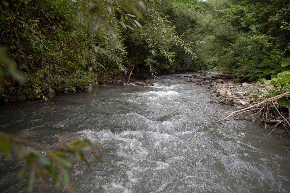 Медовеевка