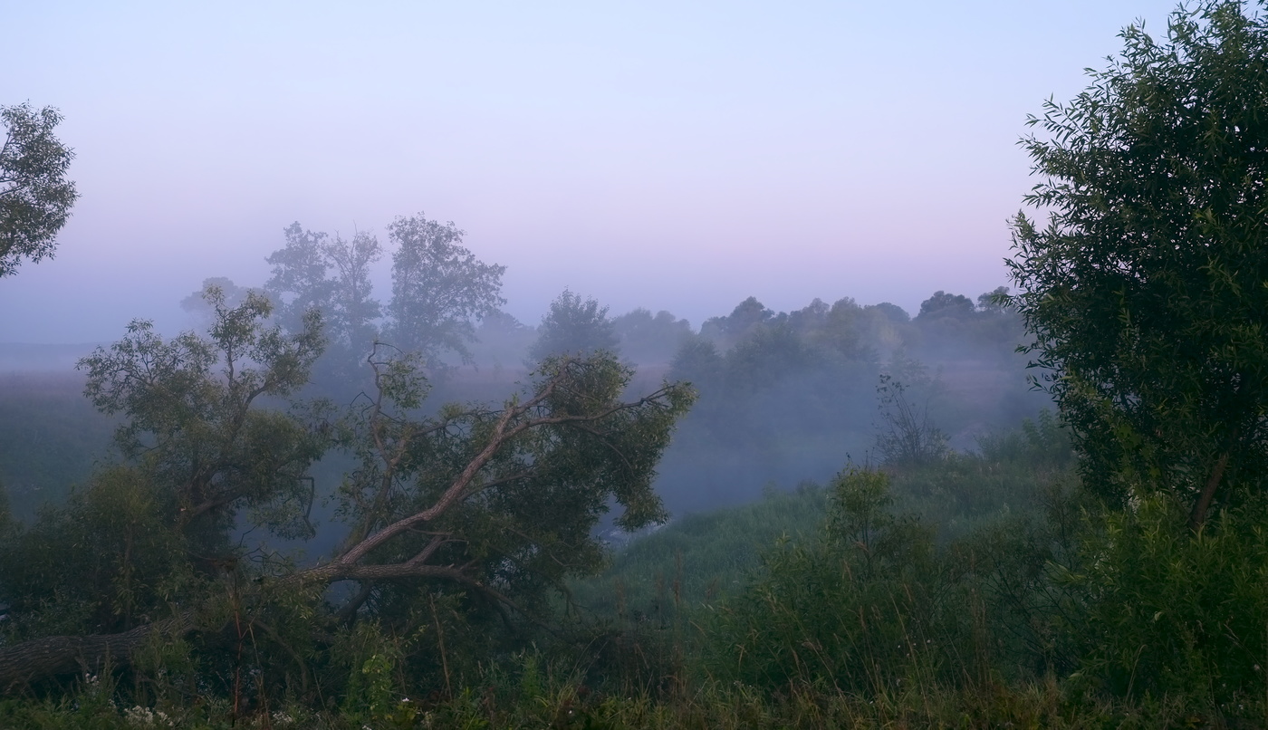 Рано утром.