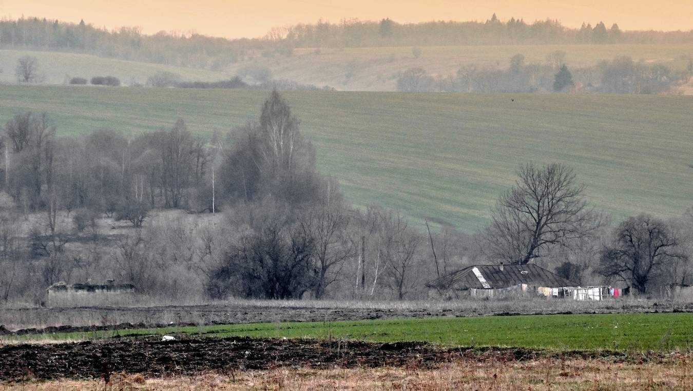 В лощины и луга пришла весна