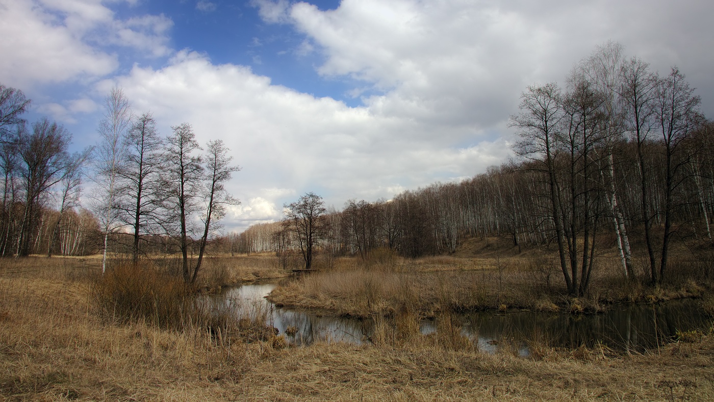 В дверь стучится весна