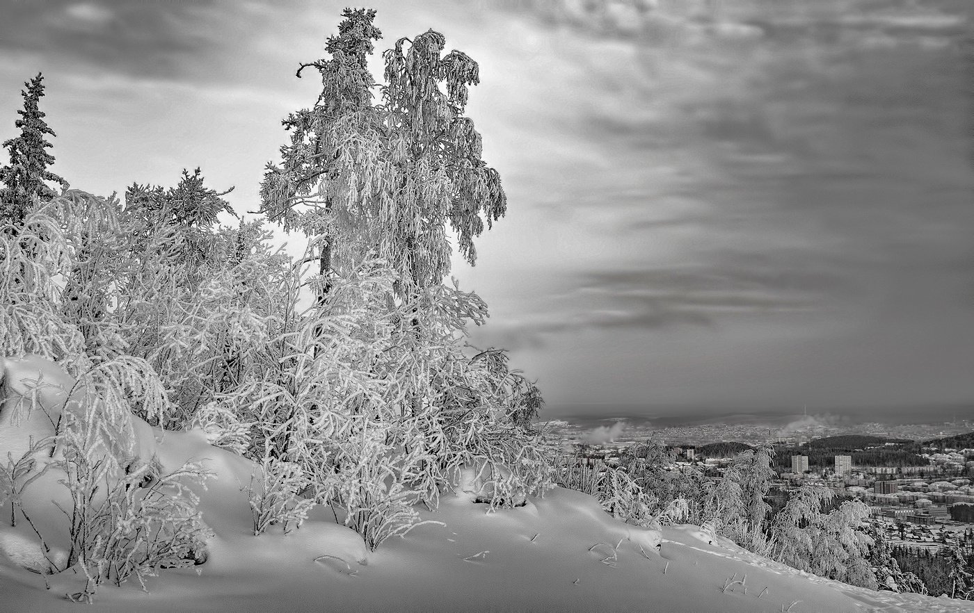 Рисунок зимы