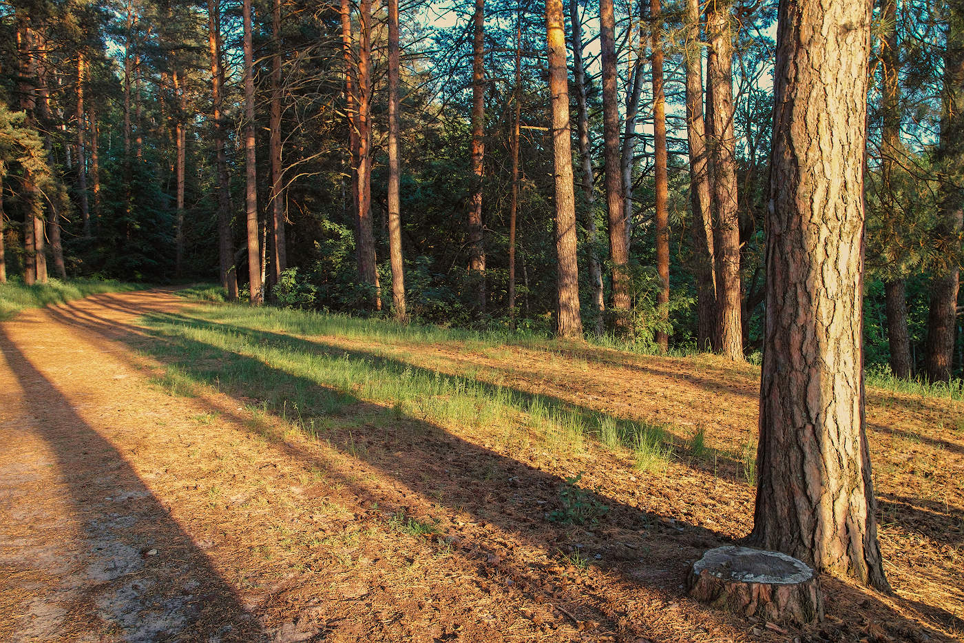 Длинные тени мая