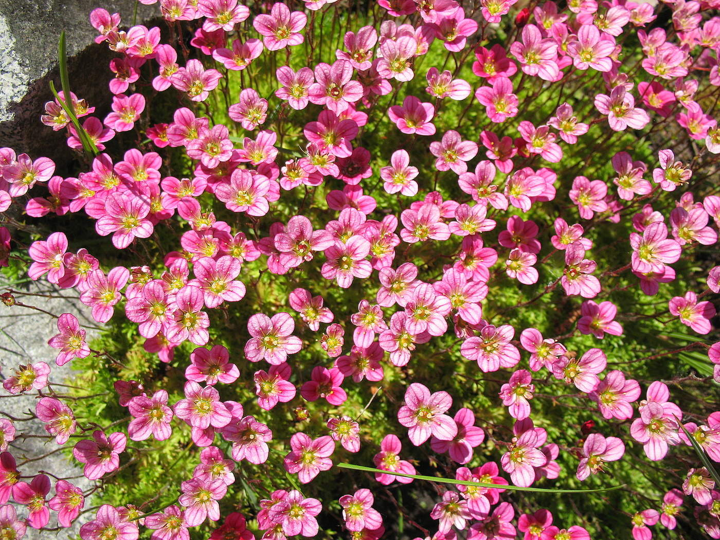 Видимо невидимо