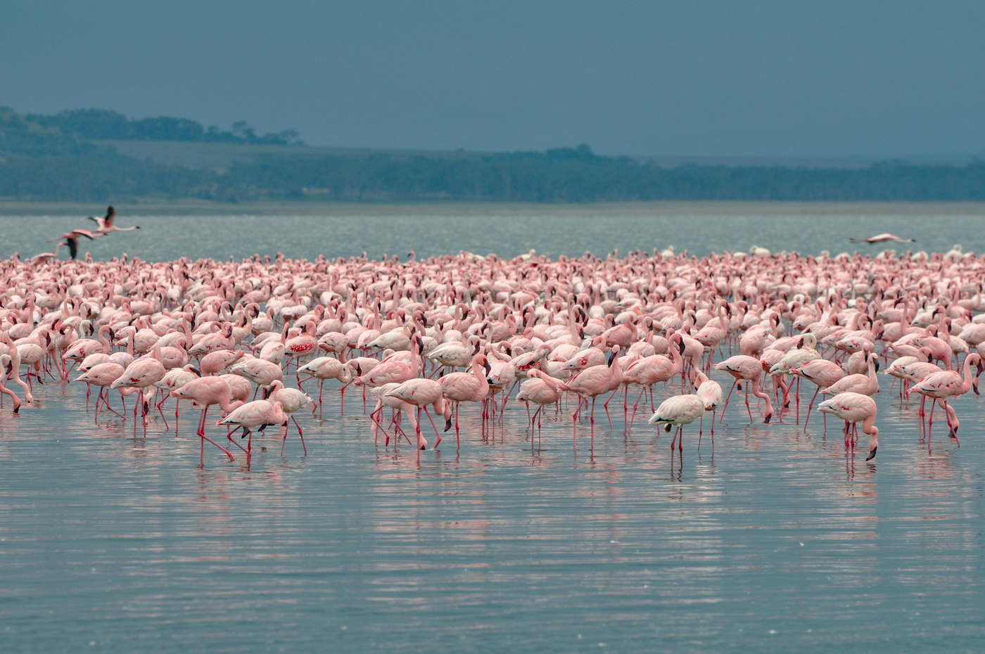 Видимо невидимо