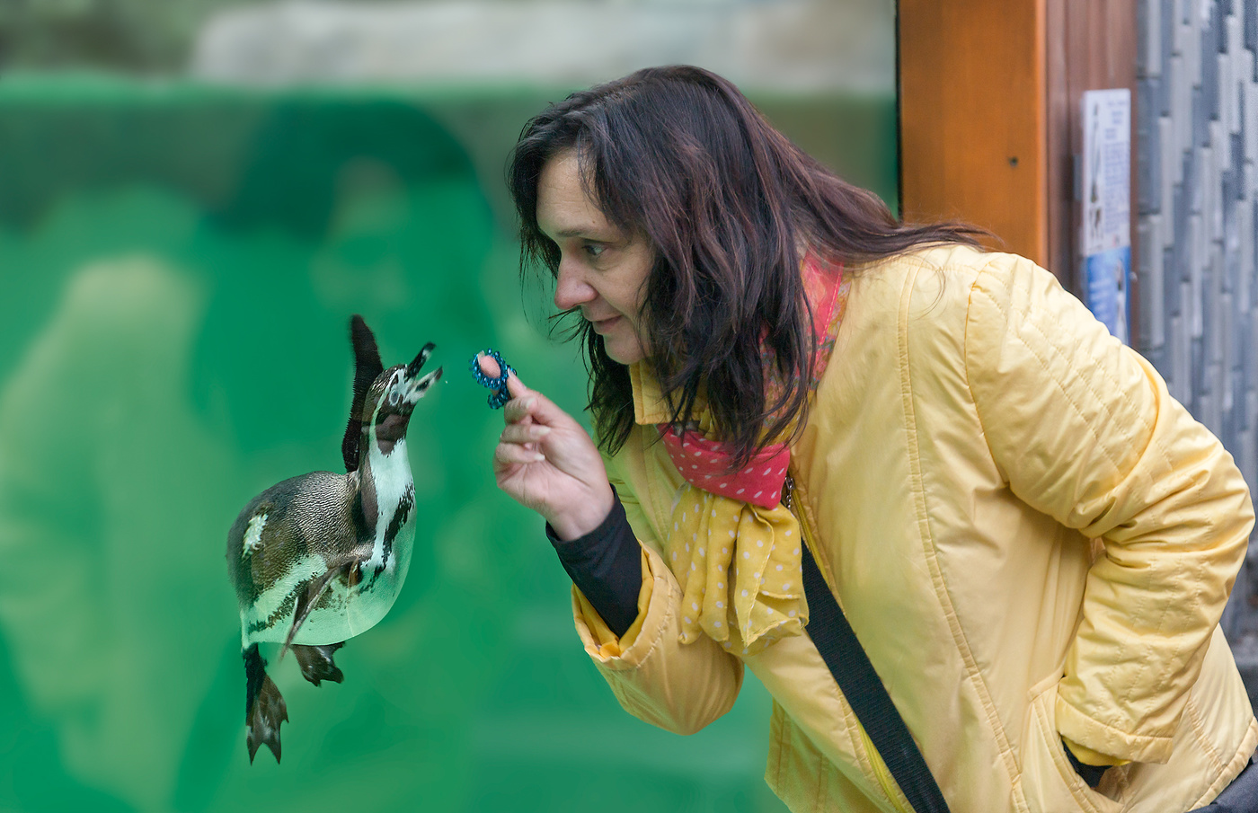 Видимо невидимо