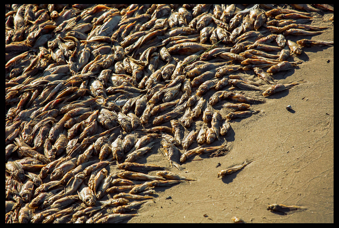 Видимо невидимо