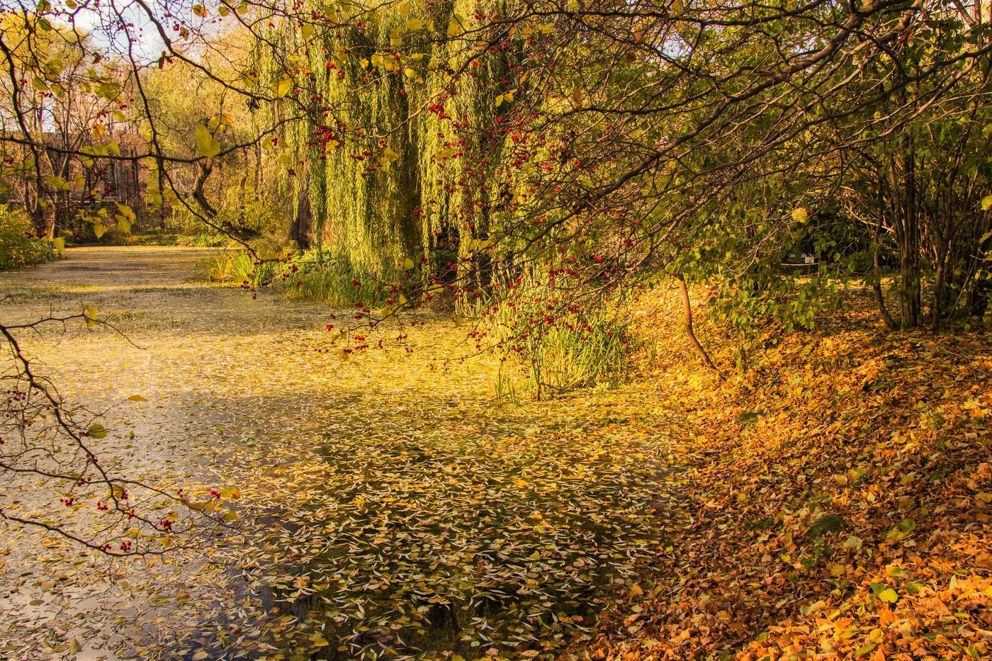Видимо невидимо