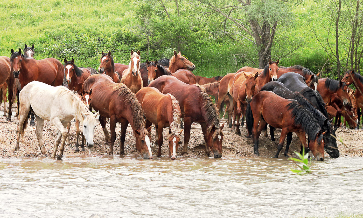 Видимо невидимо