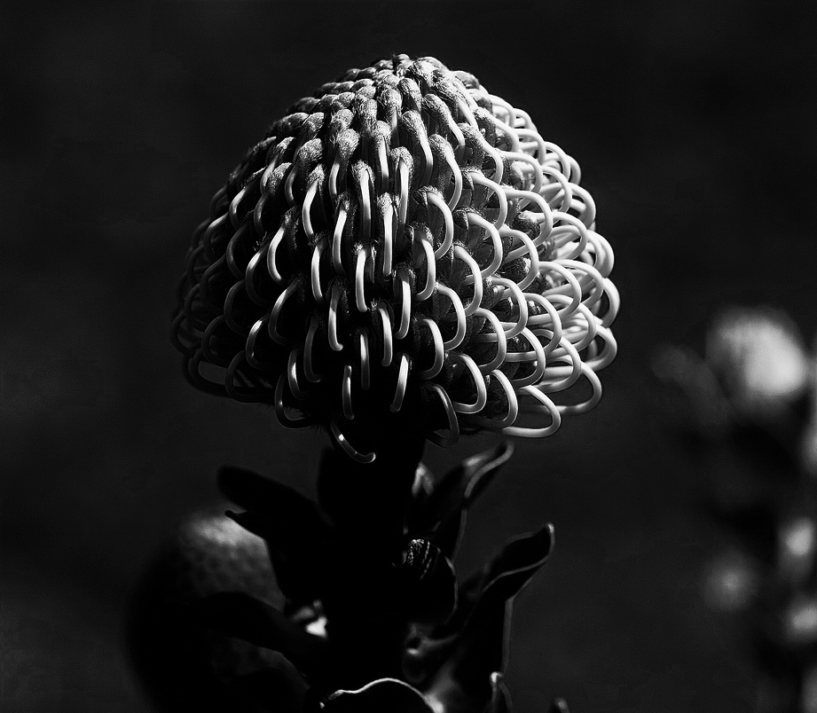 Видимо невидимо