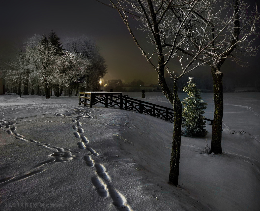 Cледы "штативохода"...