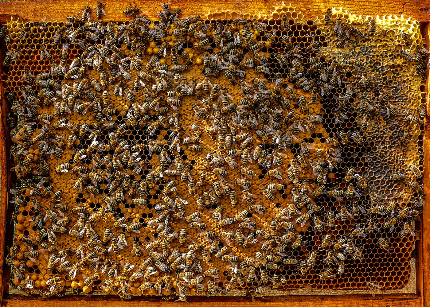 Видимо невидимо