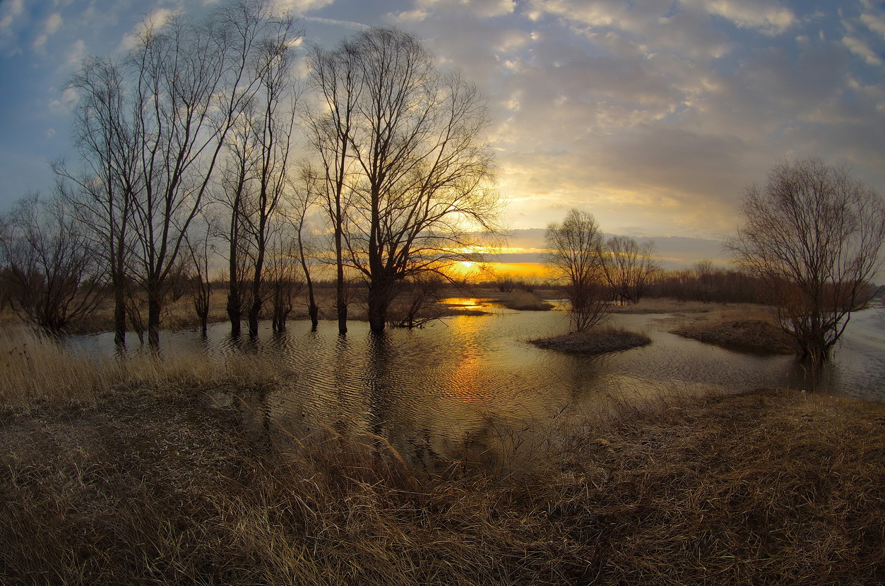Весеннее утро