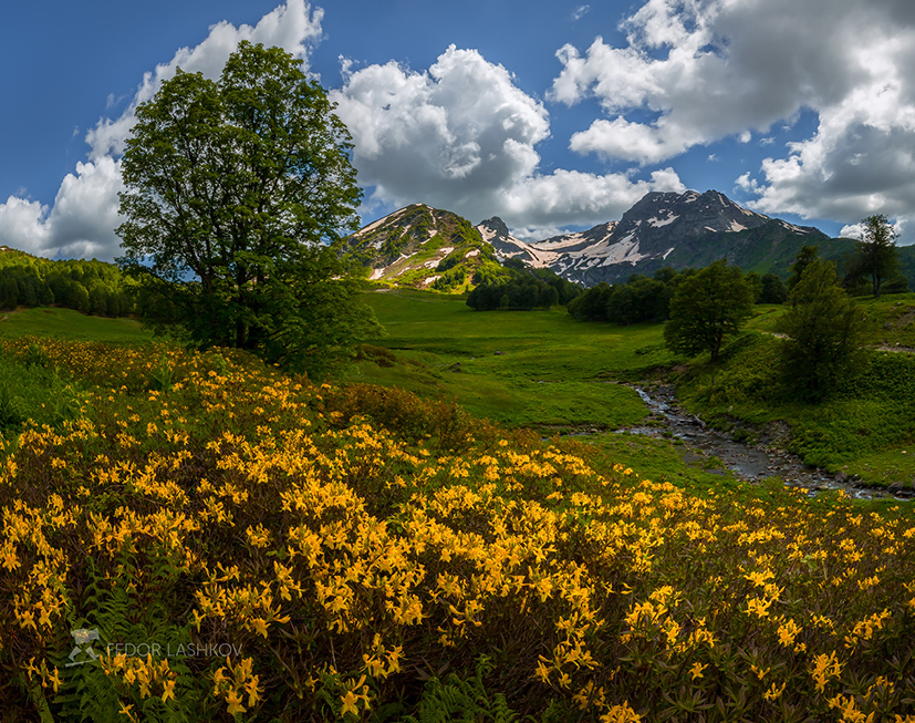 Открытка из Абхазии