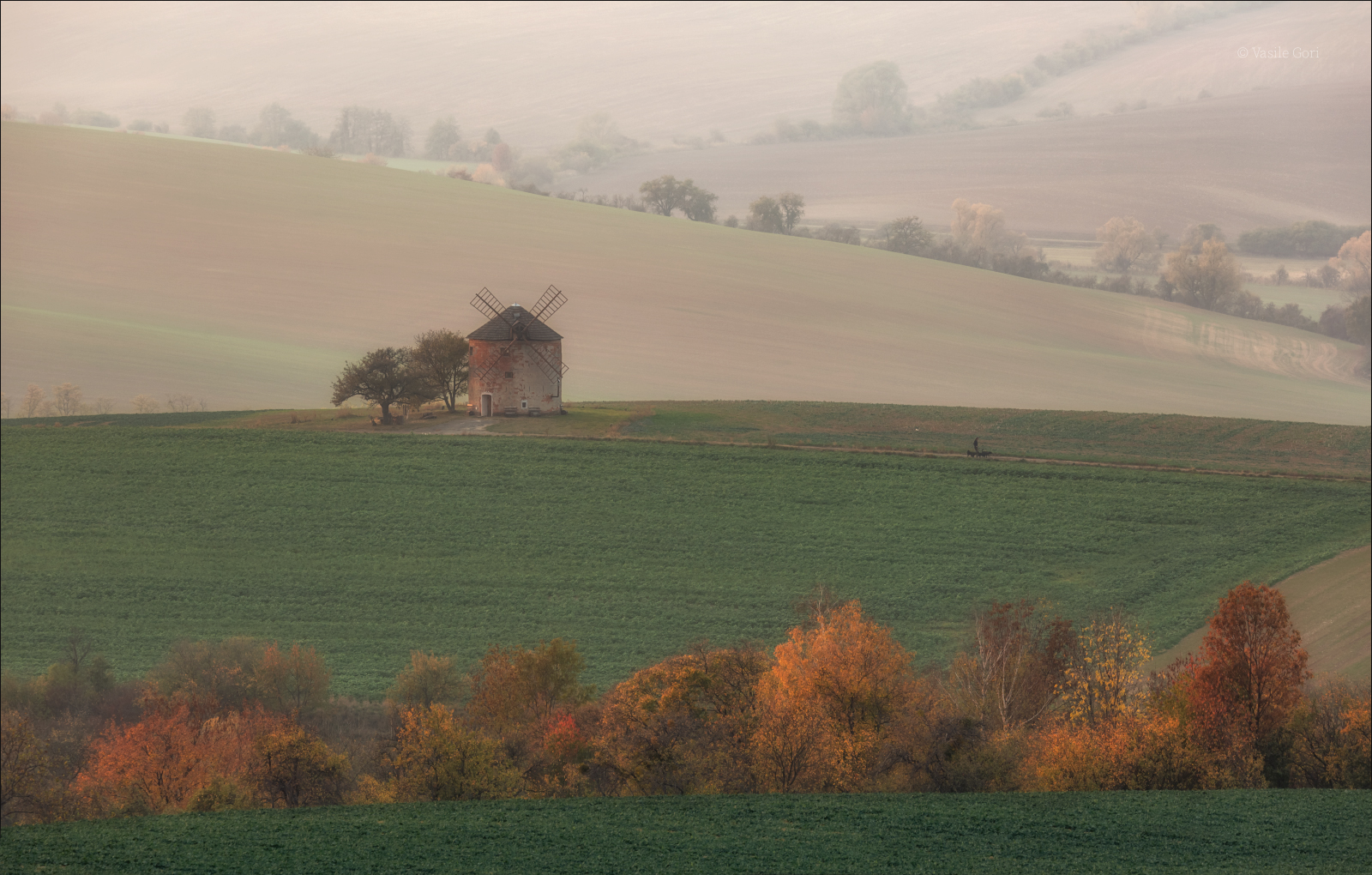 Старая мельница