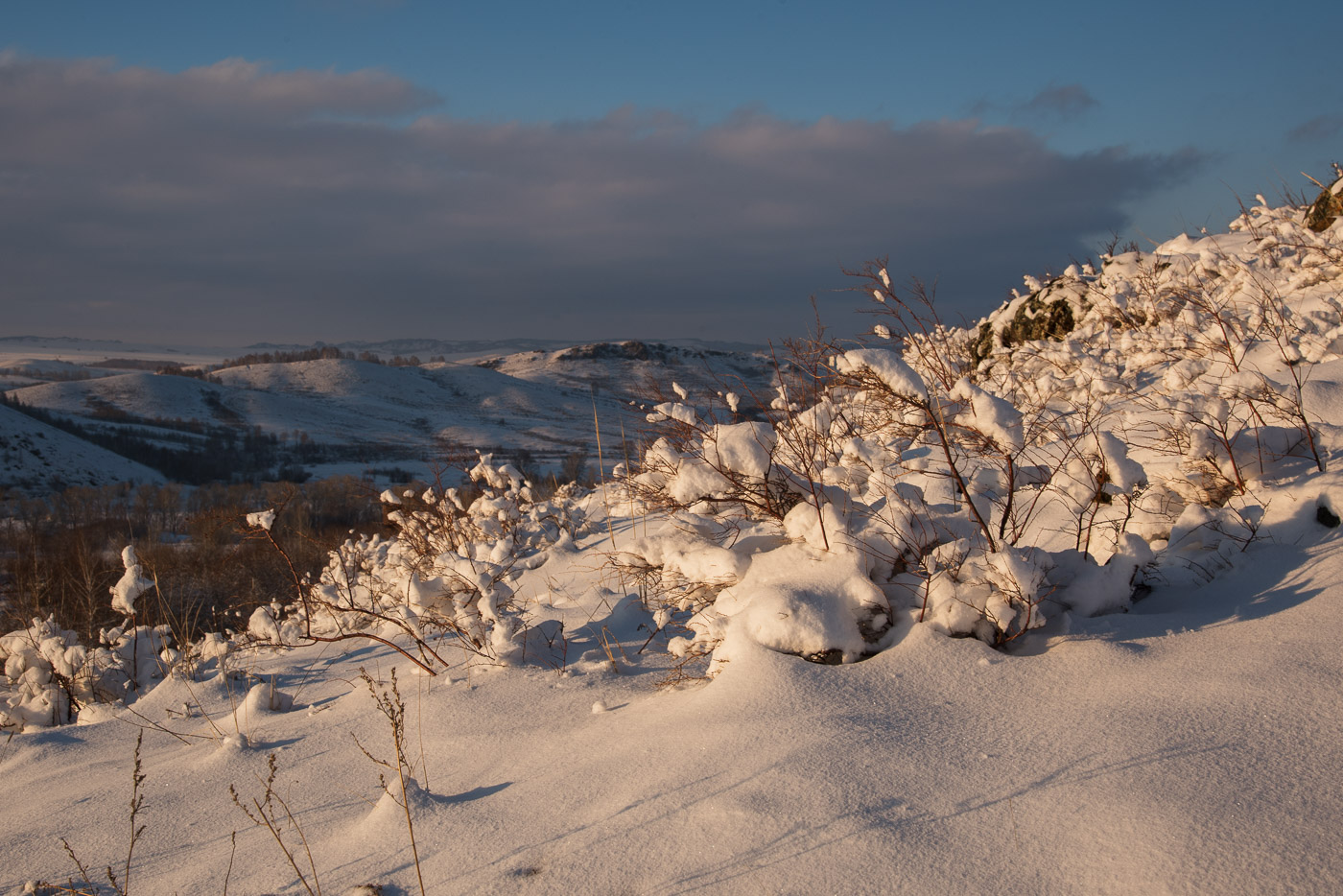 Зима вернулась...
