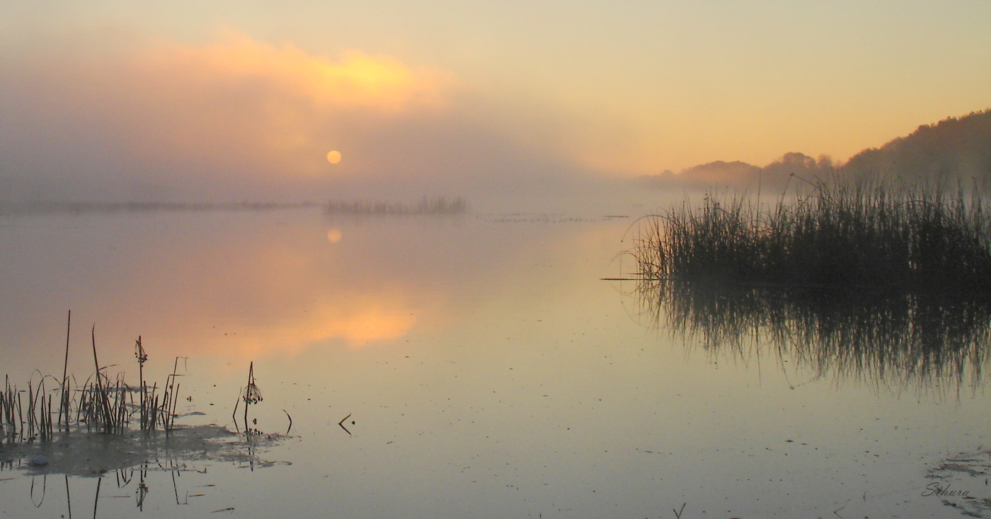 Красивое озеро Исток туманным утром.