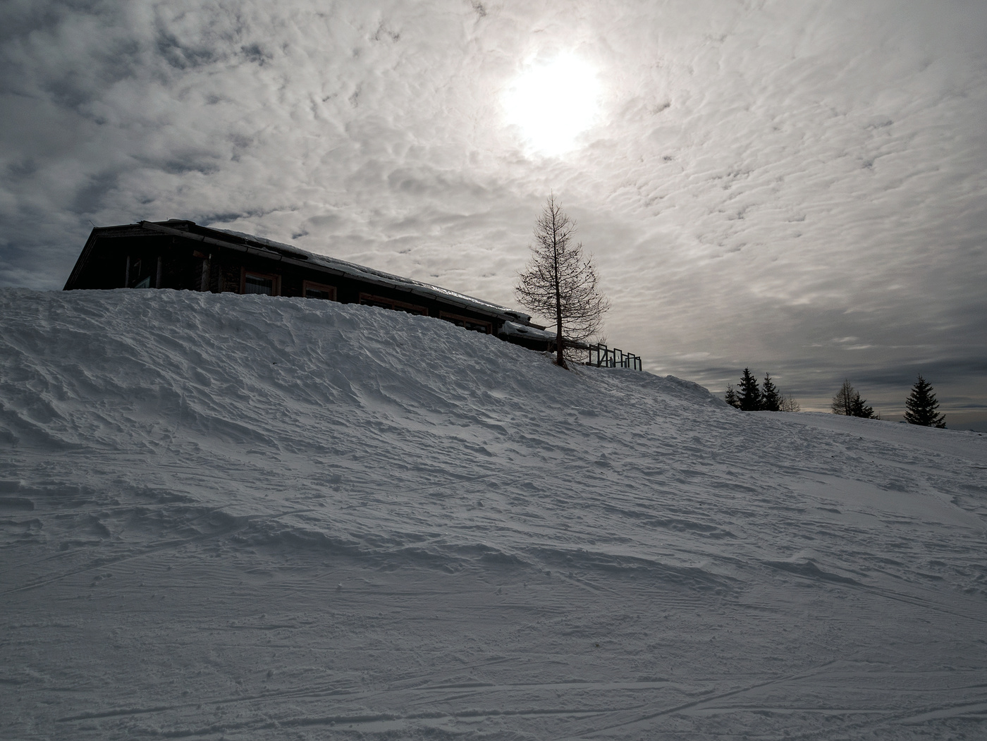Снег прошедшей зимы...