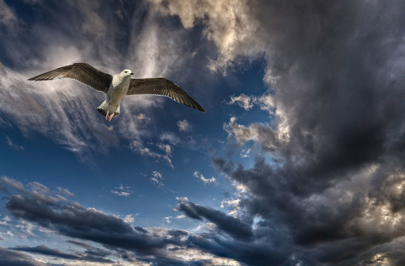 Гордо реет...