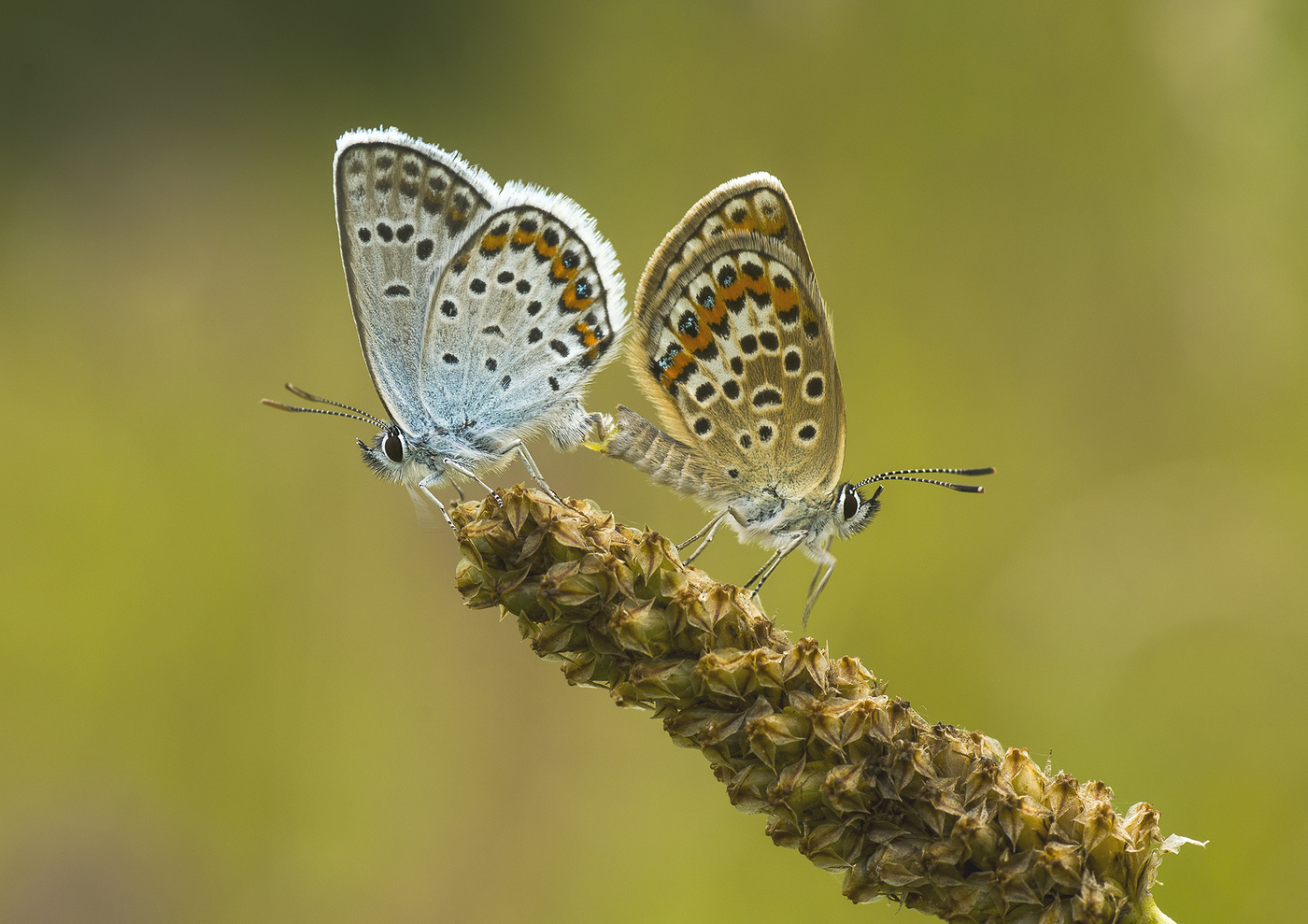 Продолжение