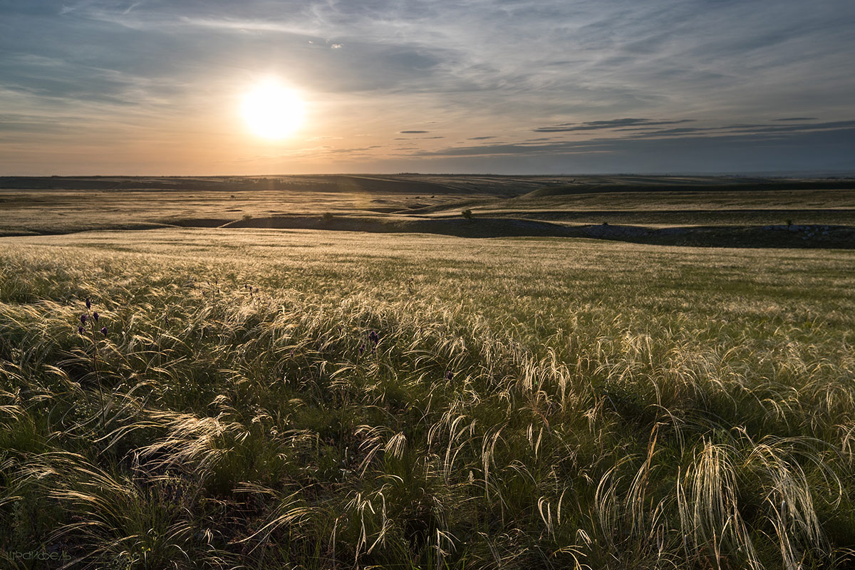 Степь серебряная