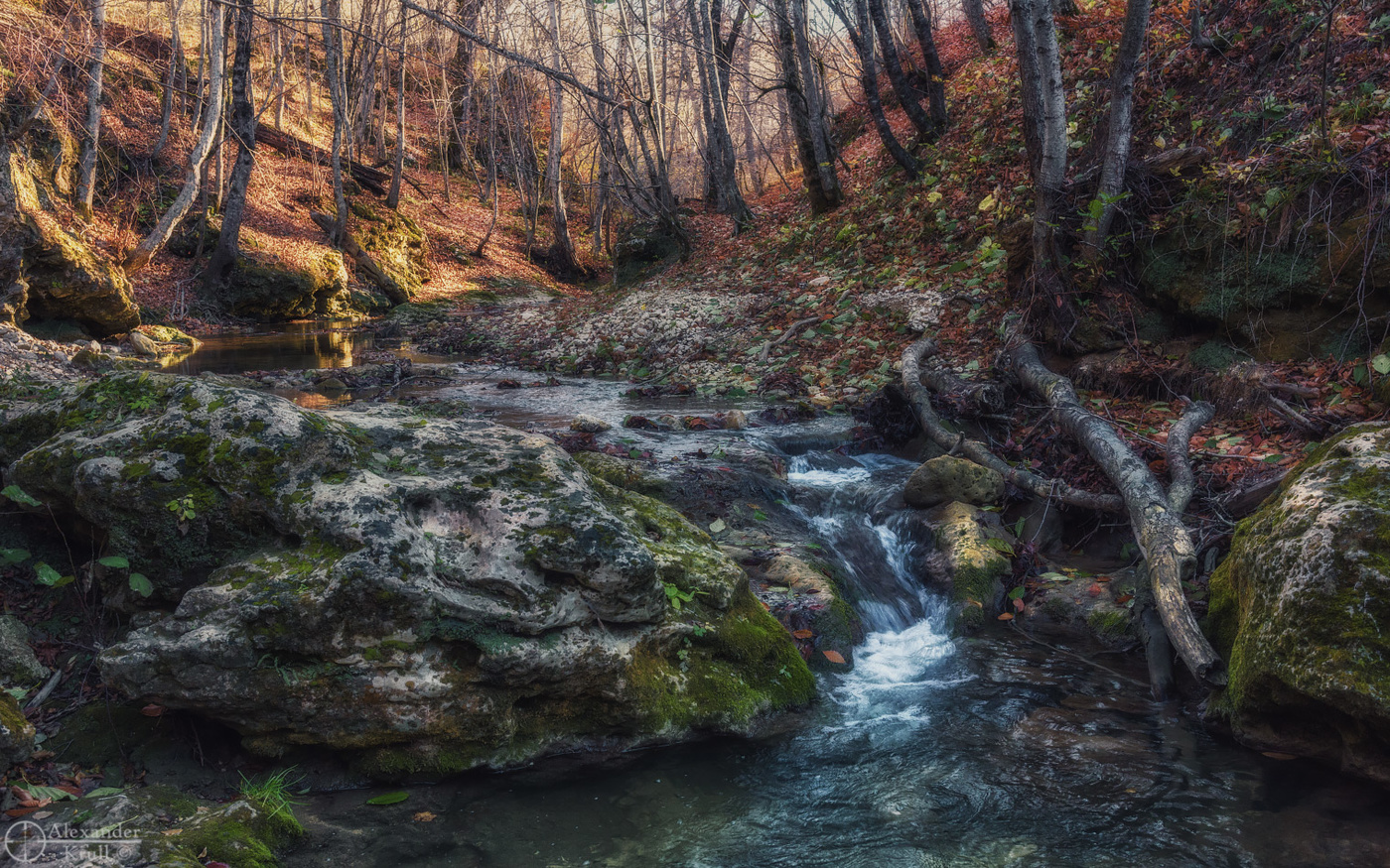 Утро у лесного порожка...