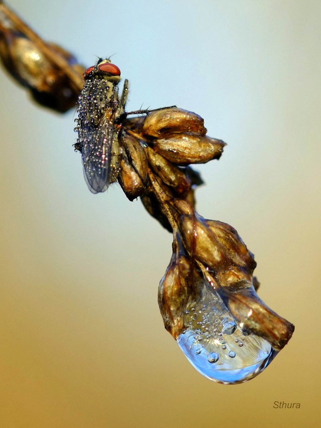 Весенняя зарисовка.