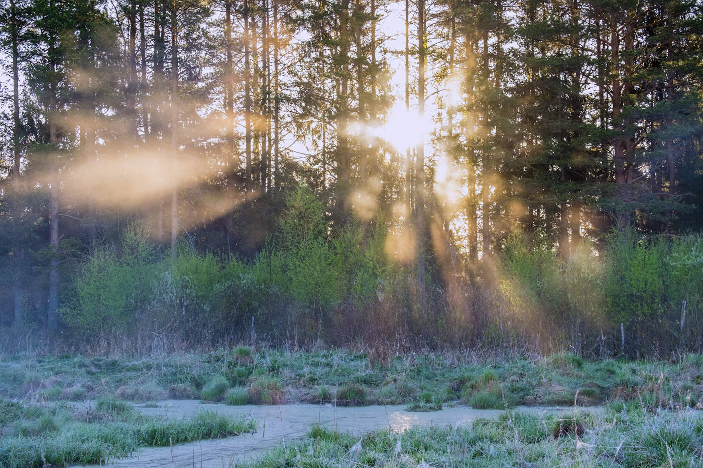 Весенние лучи