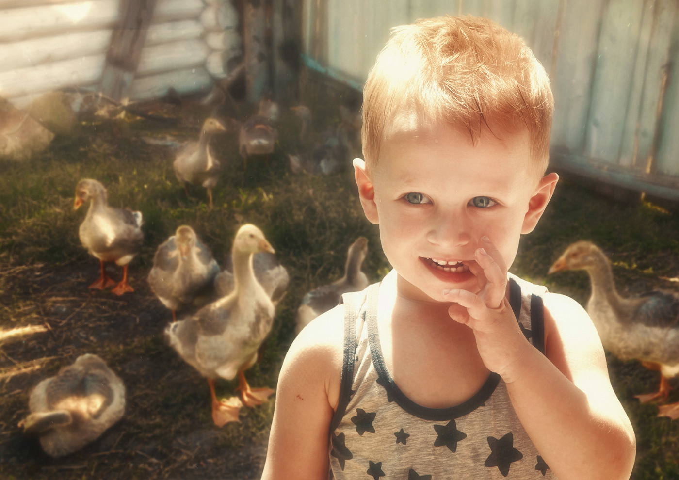 Хитрый лис Макс