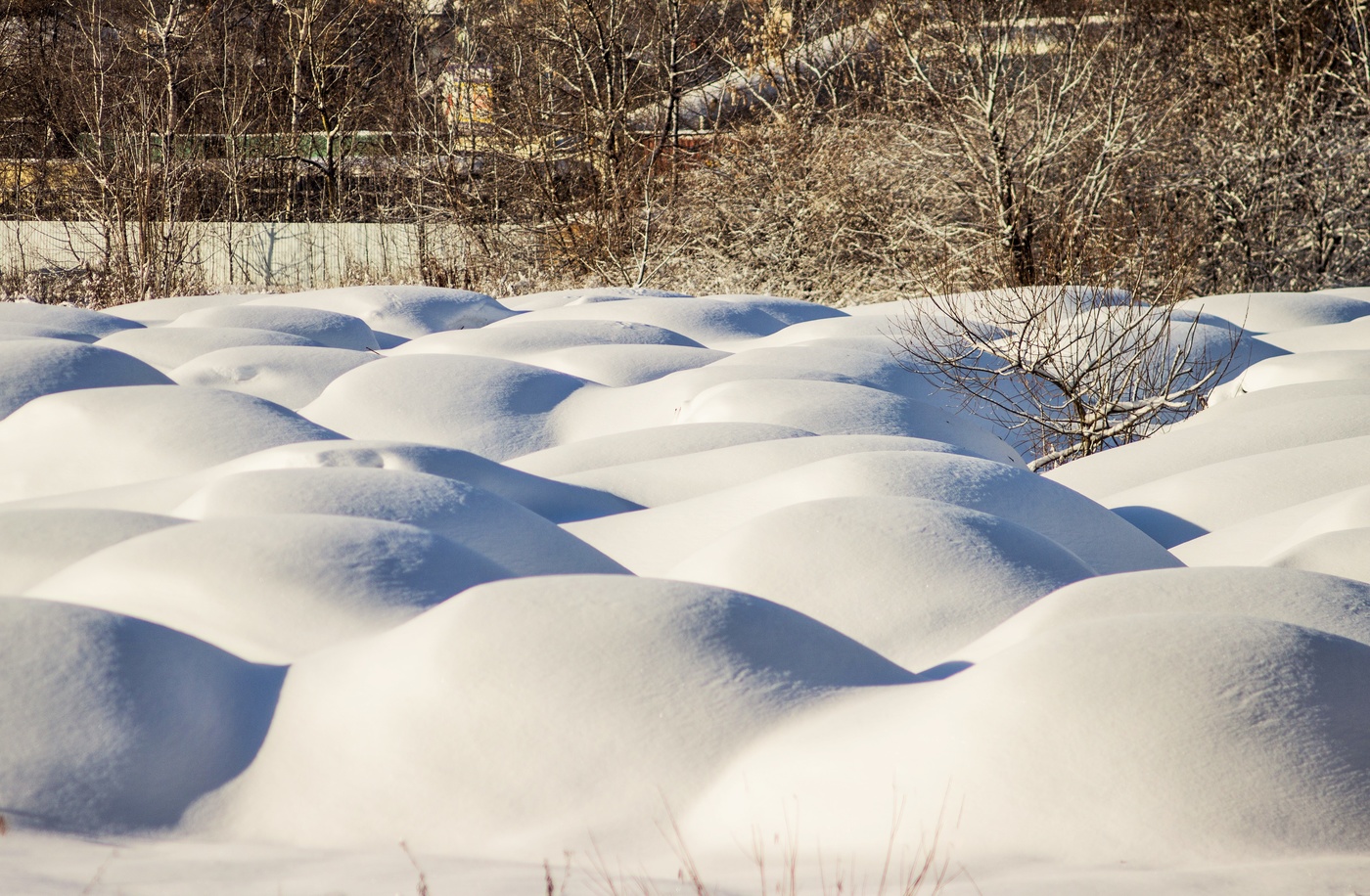 Снежные шутки