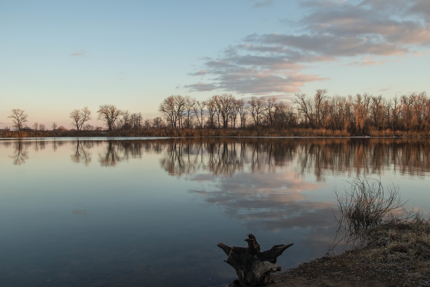 Вечерняя рапсодия.