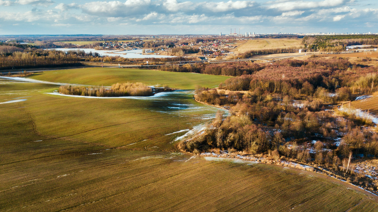 Март на Птичи
