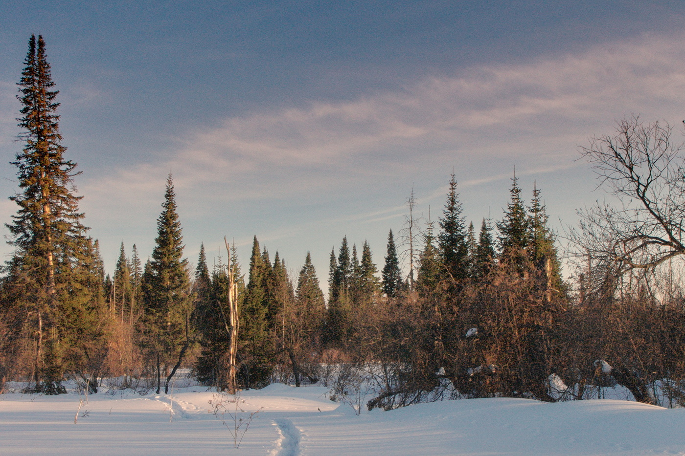 Мартовский вечер.