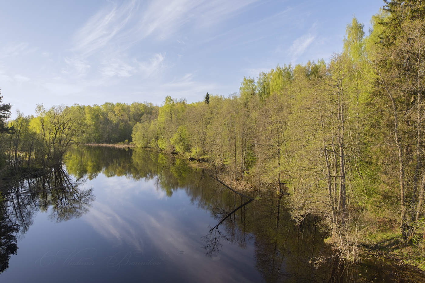 Ранним утром на реке