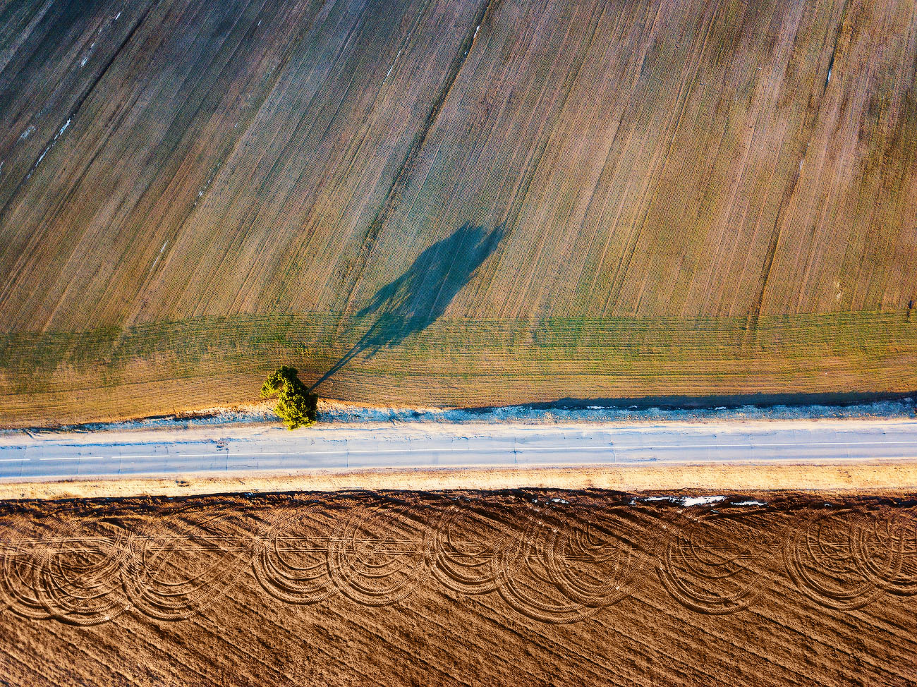 Геометрия марта