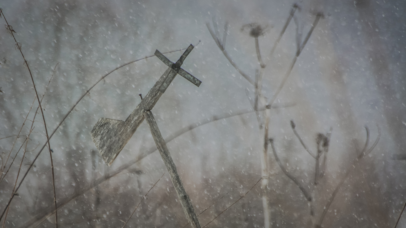 Без присмотра