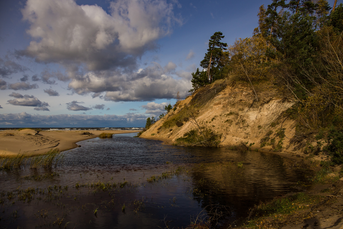Осенний бриз