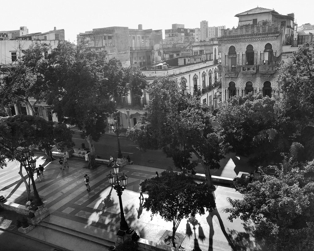 На бульваре