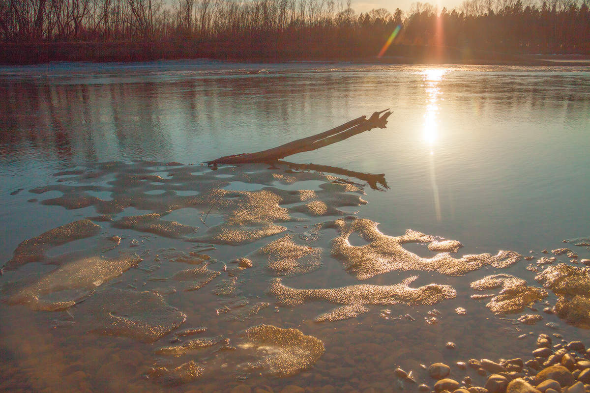 Весенний свет