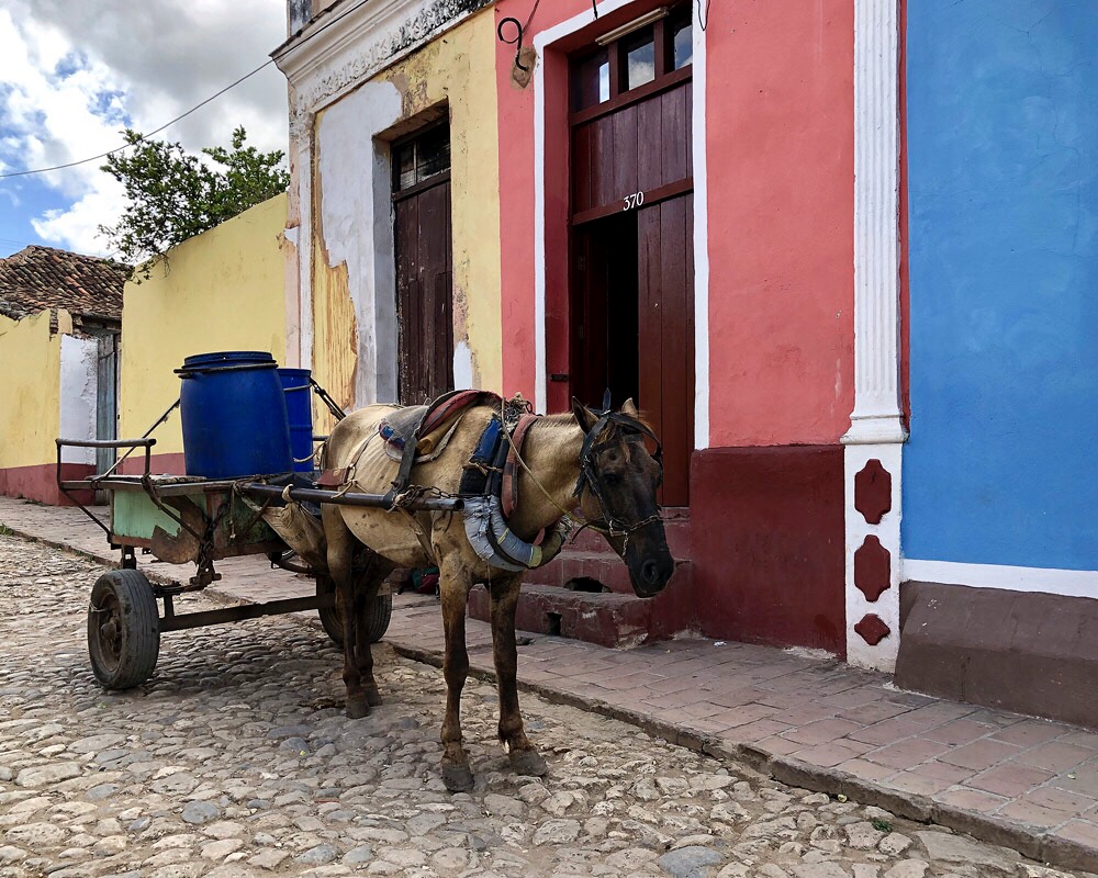 Городские маршруты