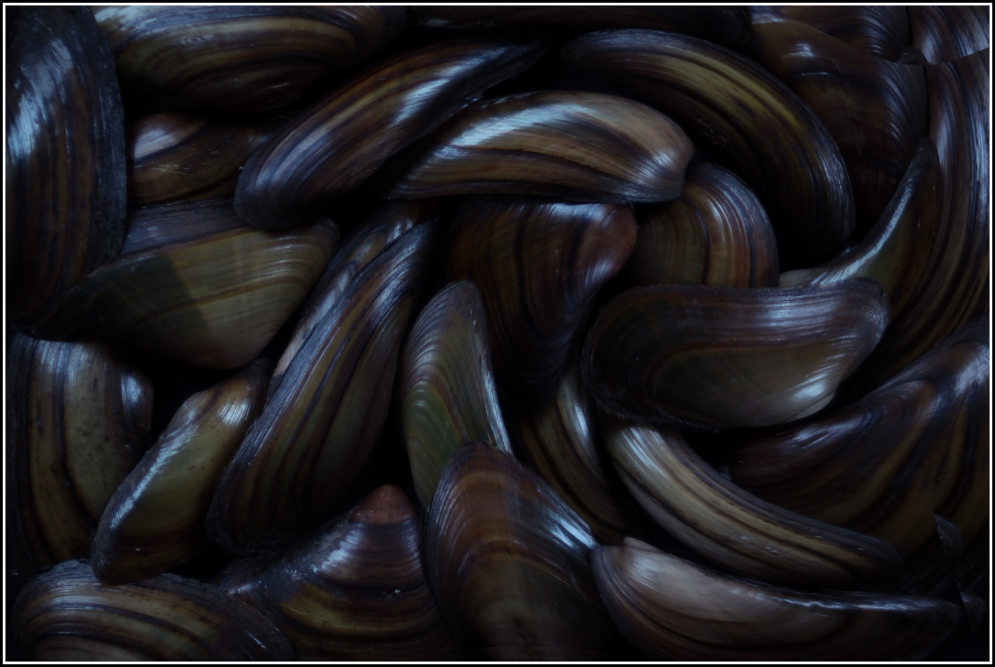 речной этюд