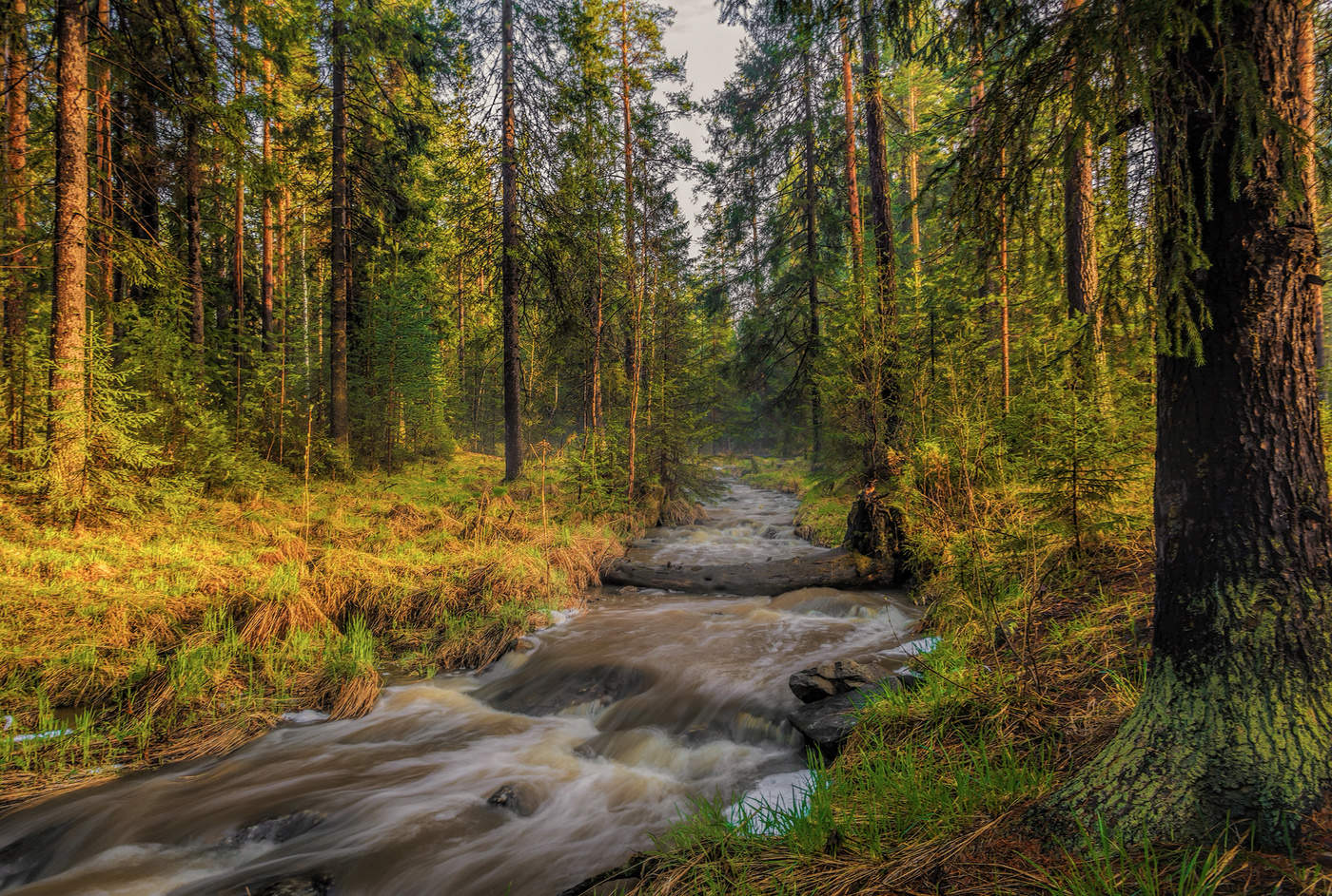 Весенний вечер