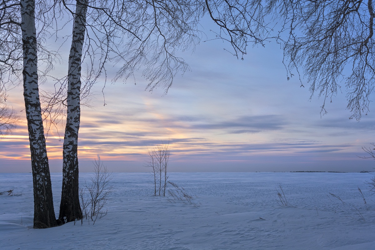 Рассвет в холодных тонах.