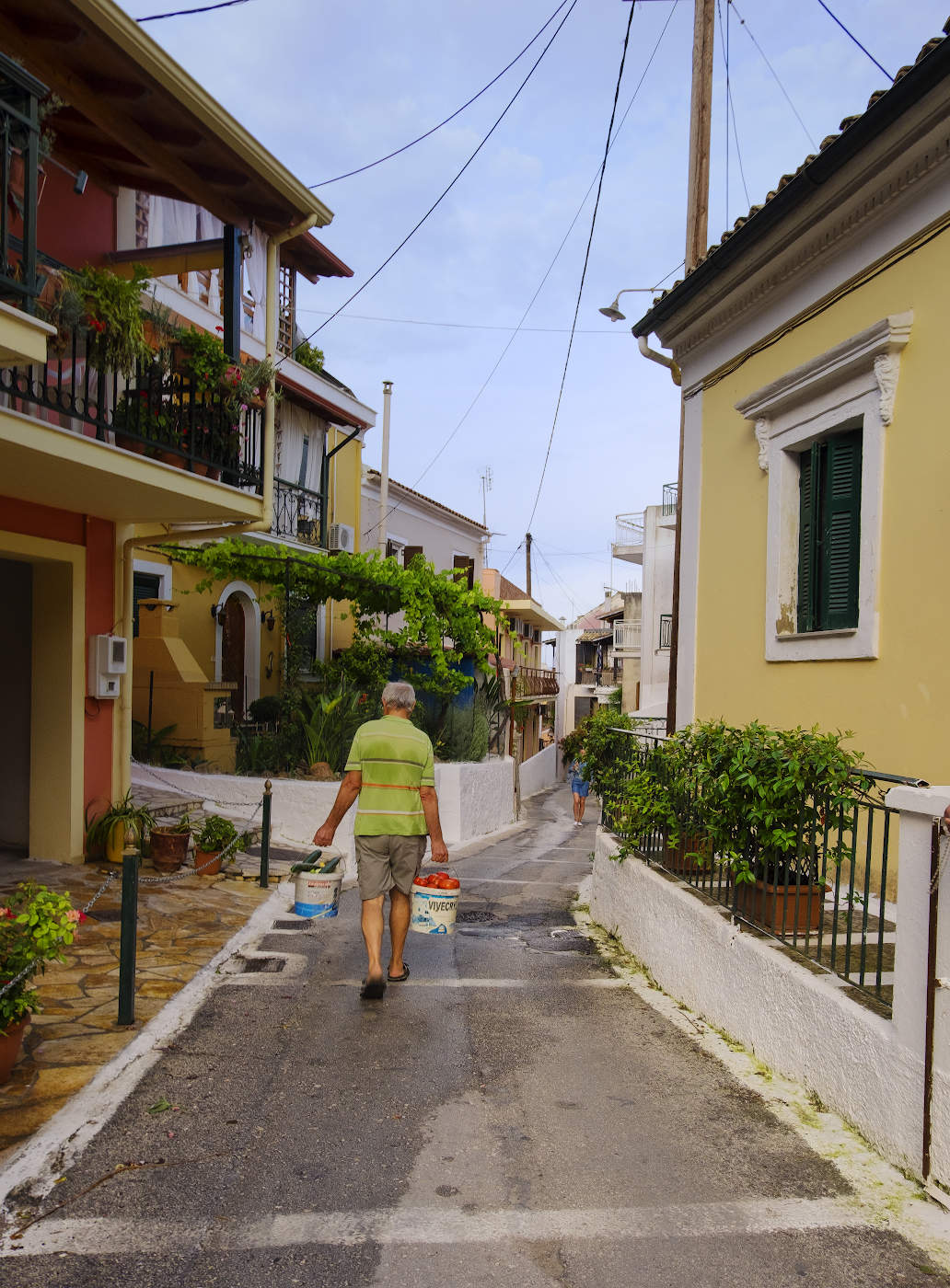 Первый урожай