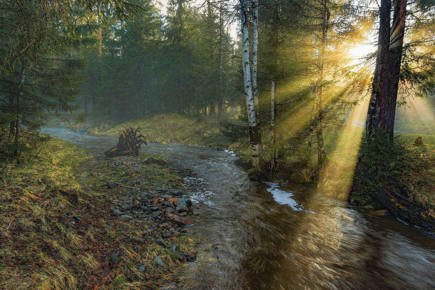 Лучи из тумана