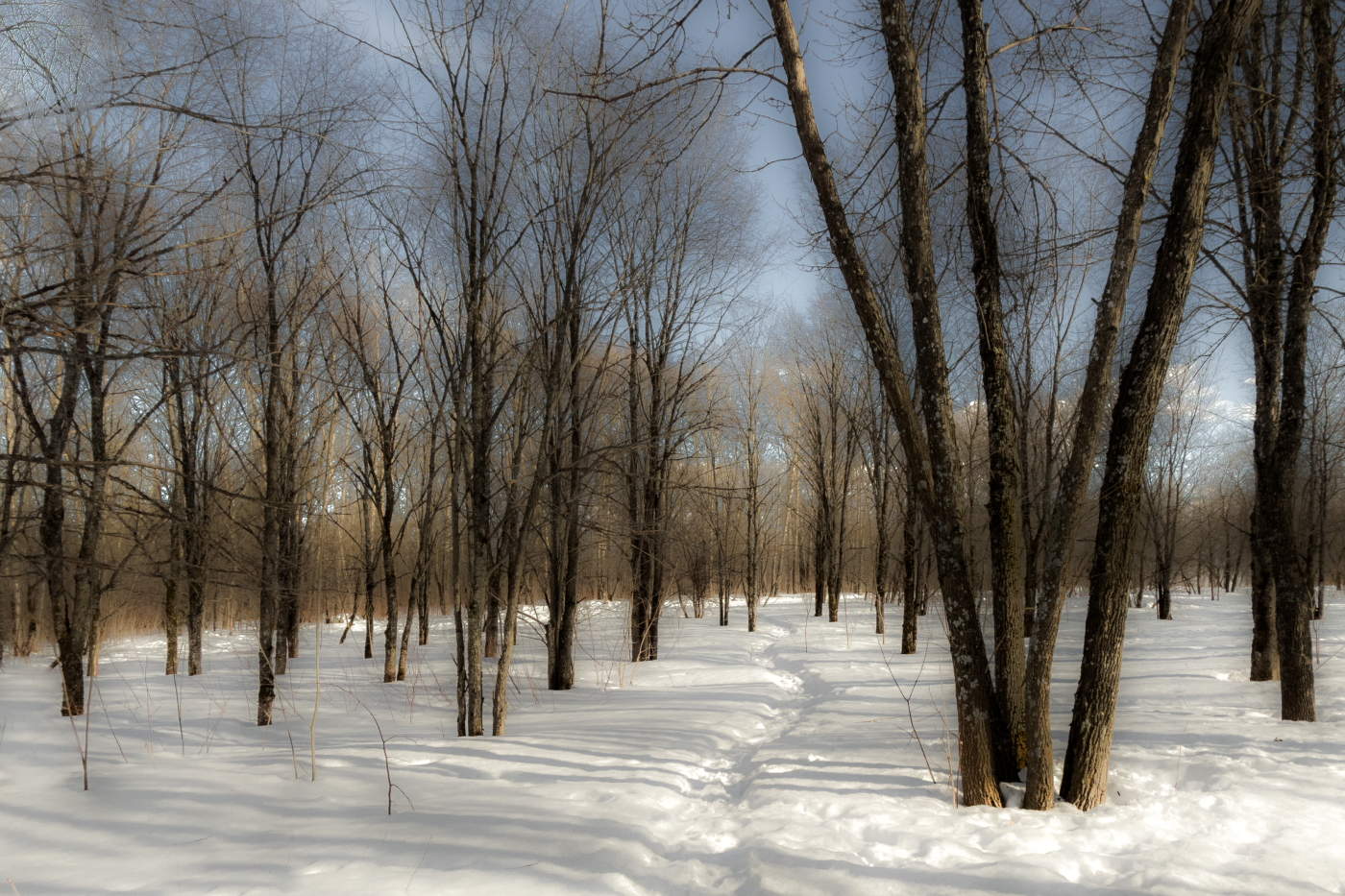 Весенней тропинкой