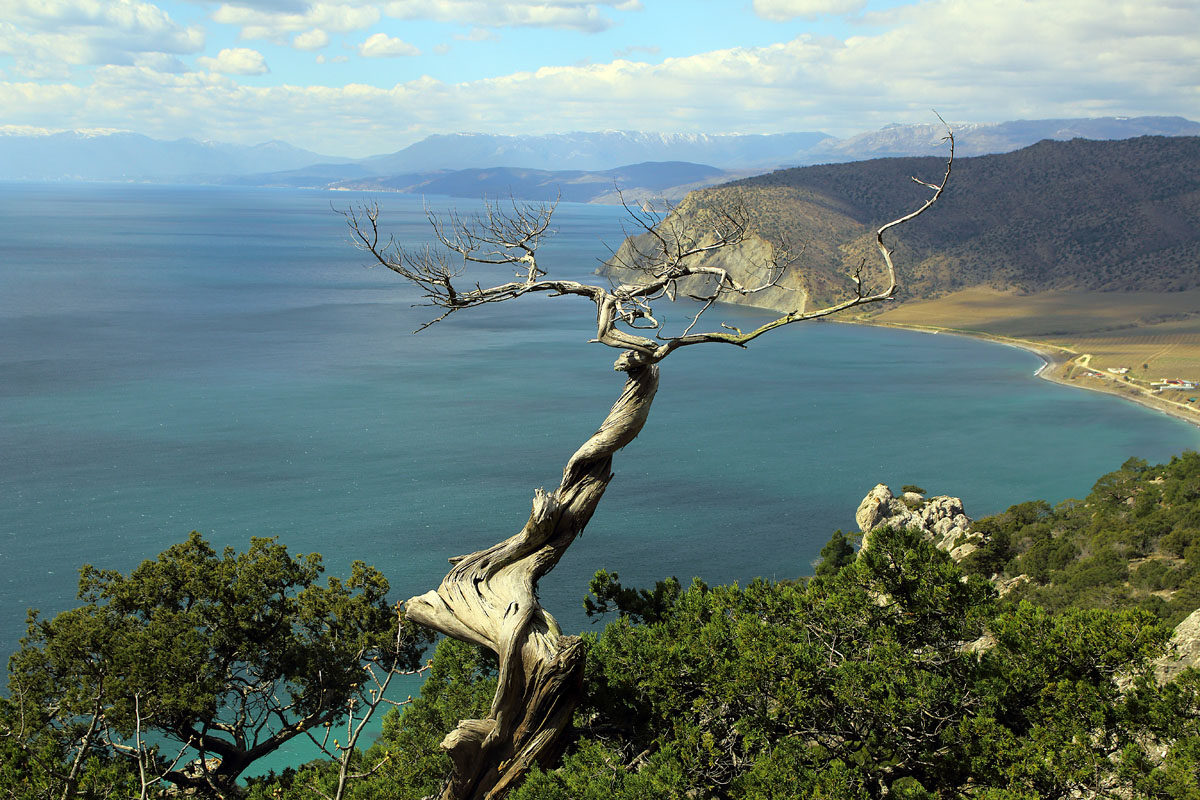 На мысе Чикен