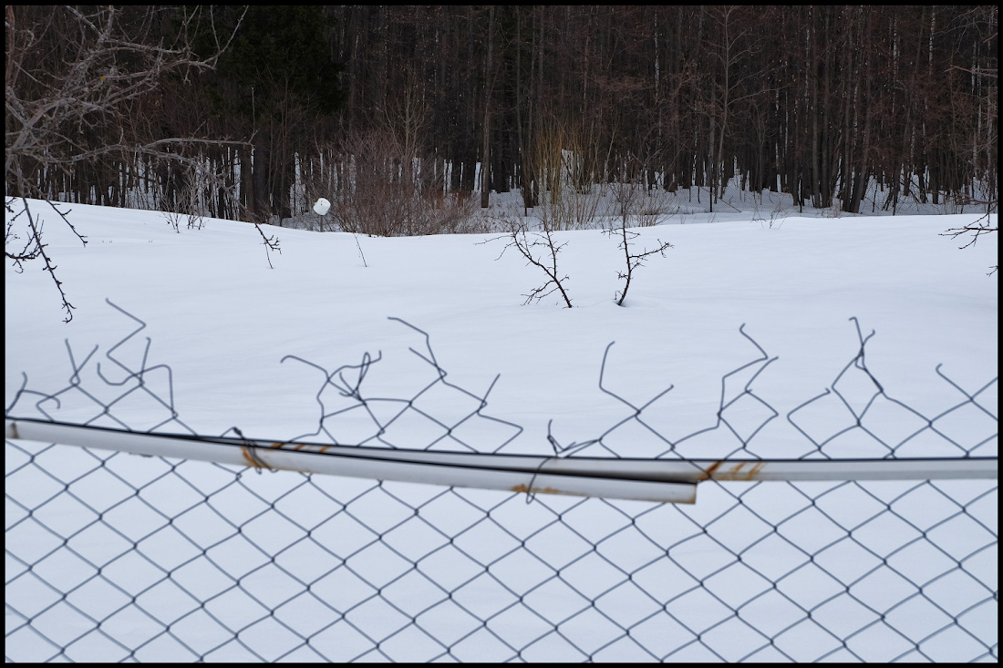 Фространство Придмана