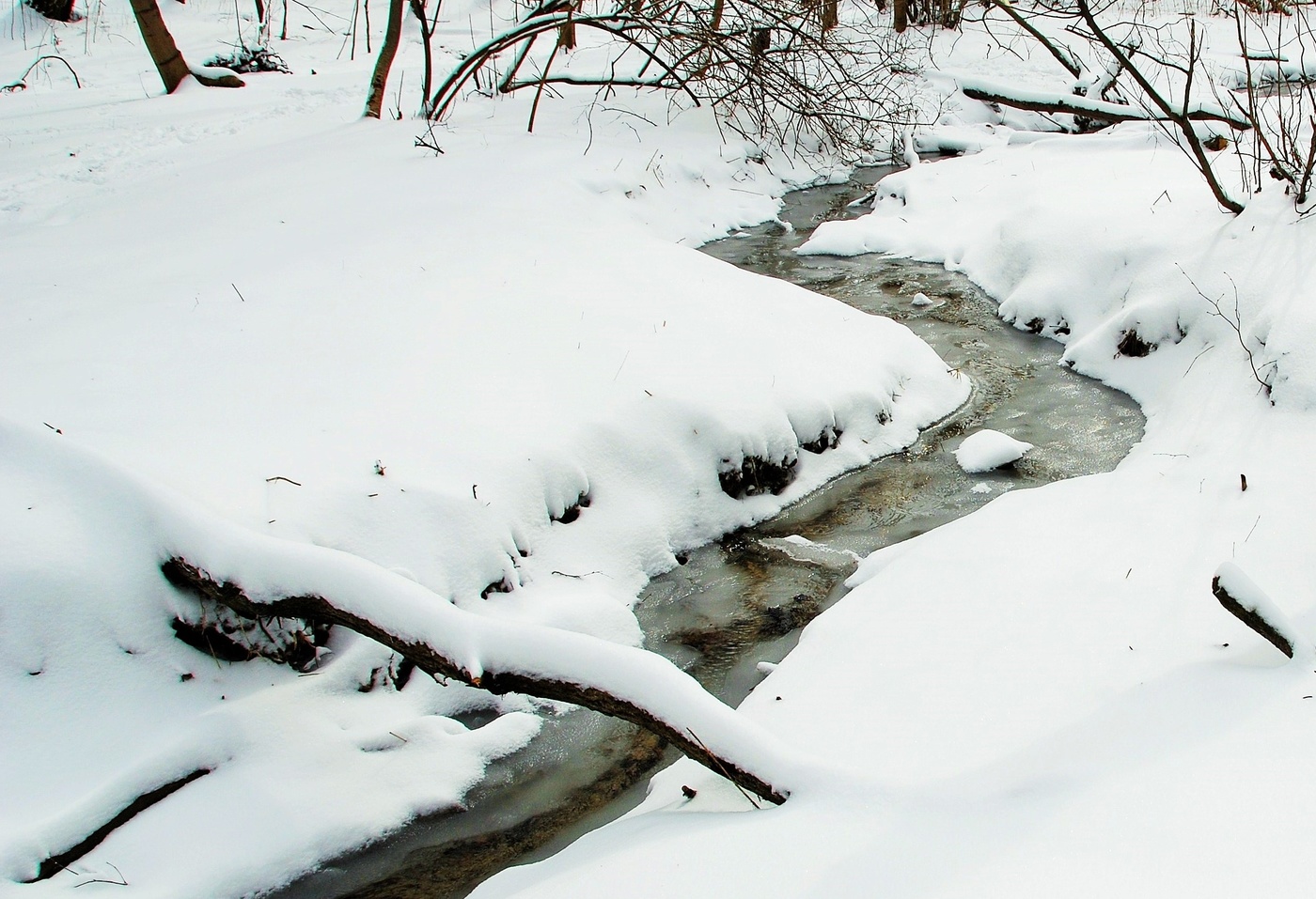 "Март на пятки наступает, прогоняя зиму прочь..."
